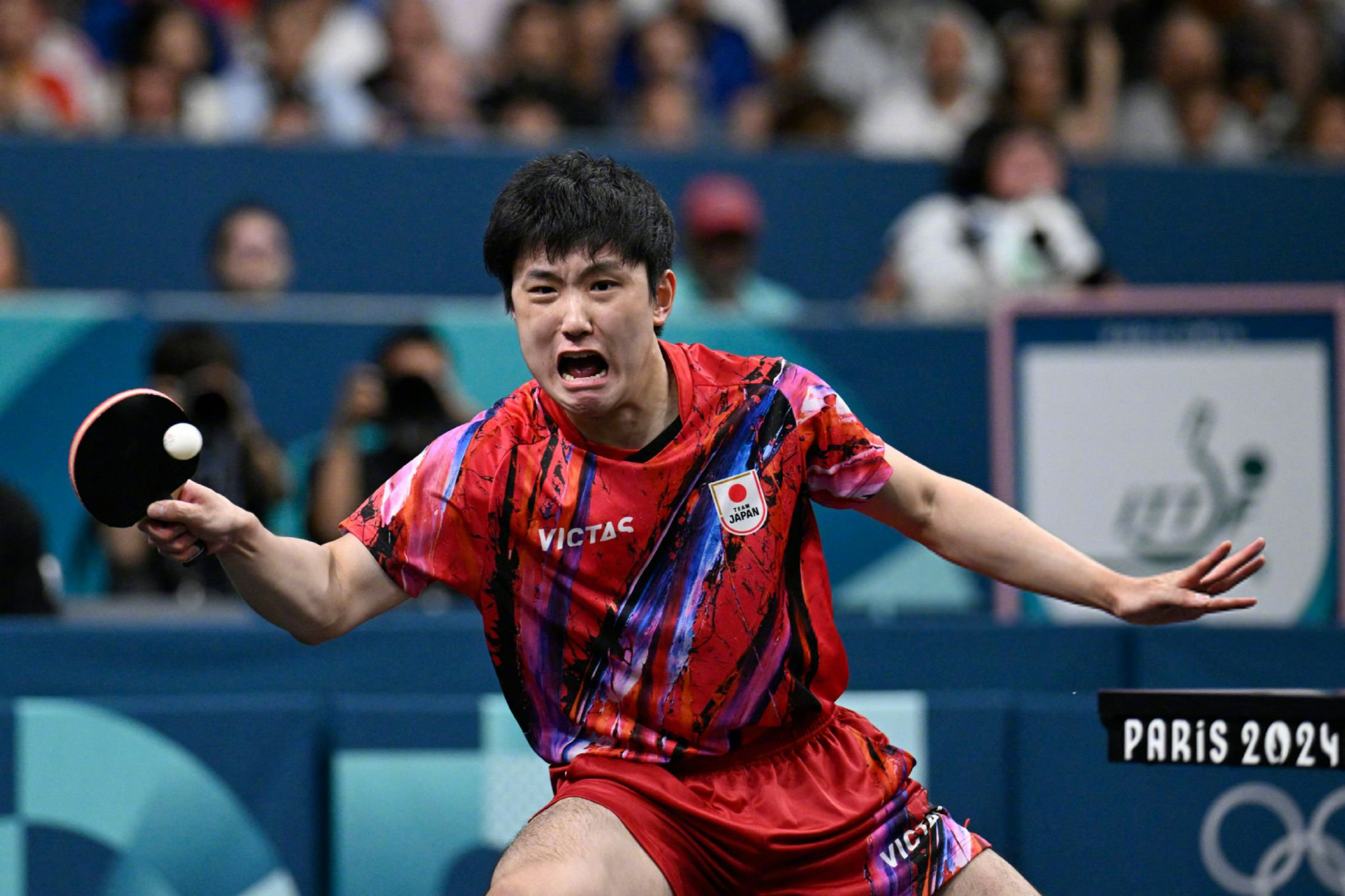 波兰队横扫奥地利队，张本智和状态火热