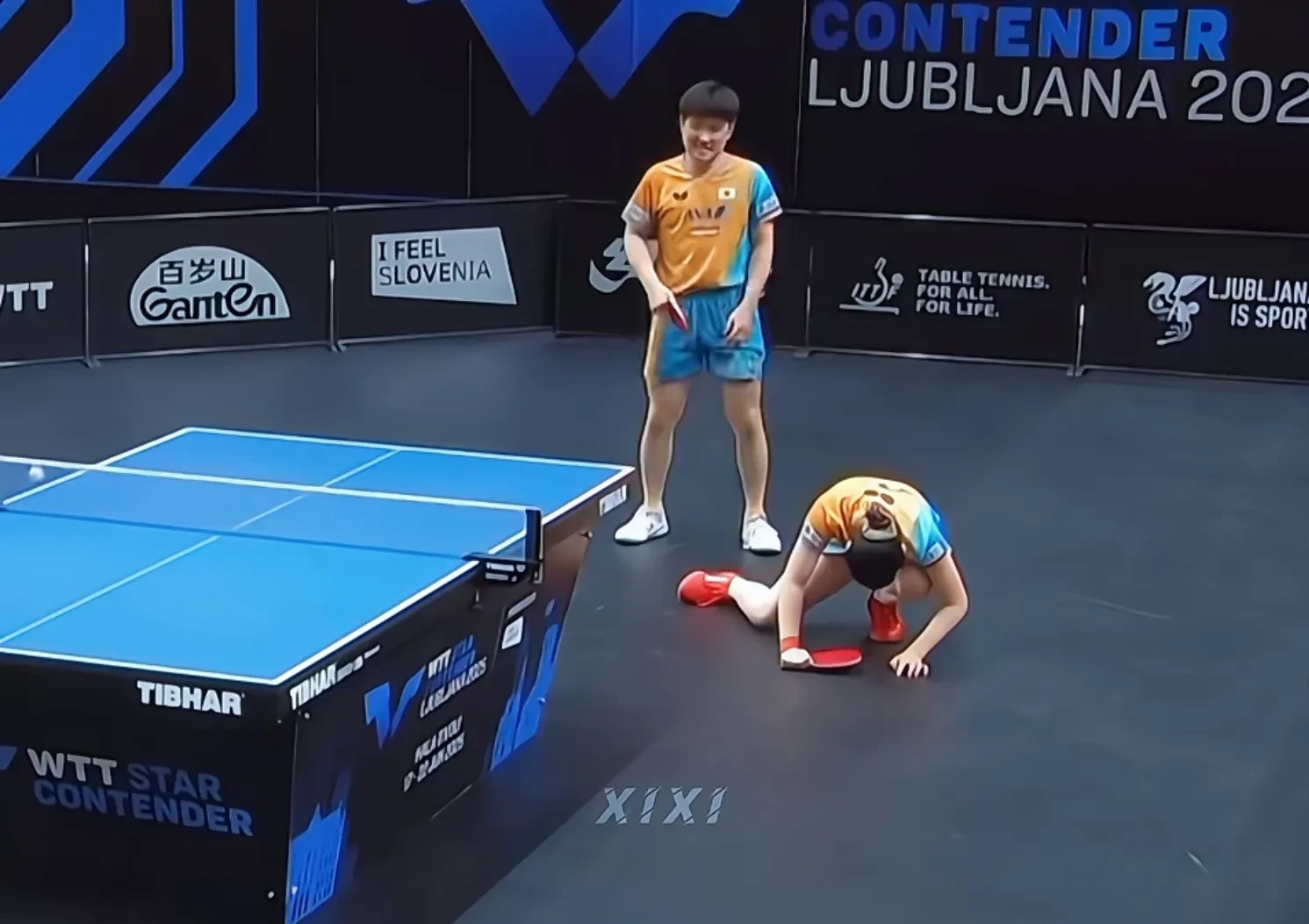 波兰队翻盘奥地利队，张本智和惊艳四座