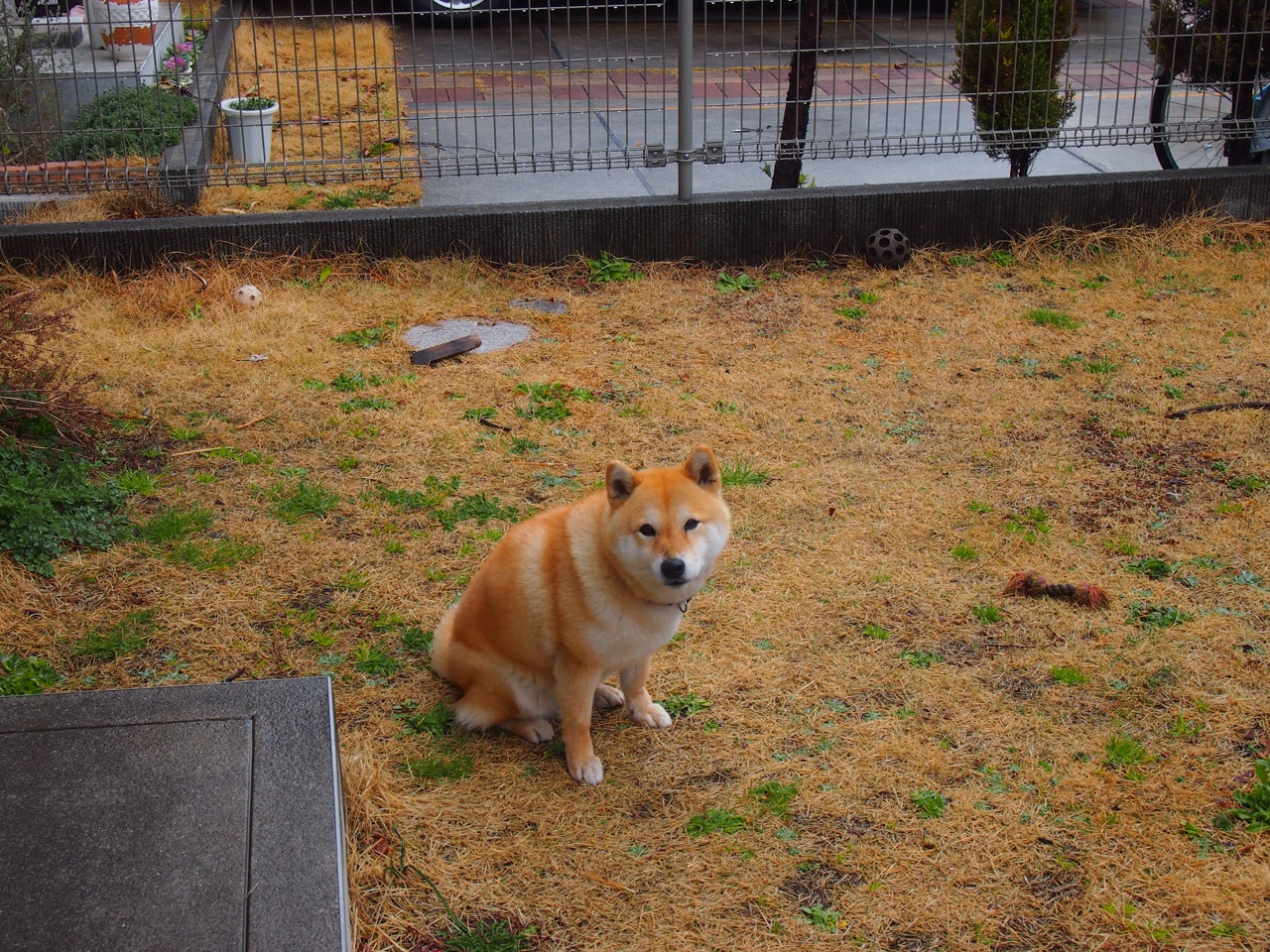 赛道与球场，速度与力量的跨界交响