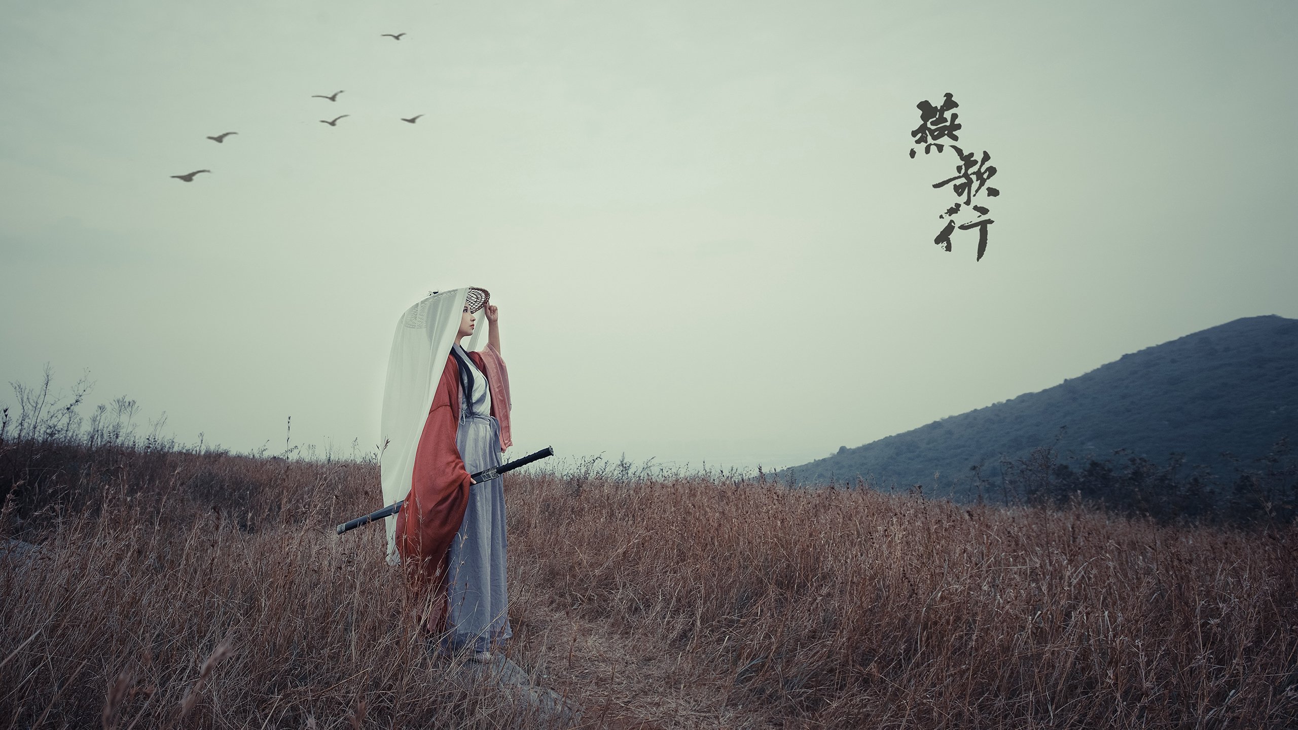 从沈阳到亚特兰大,米切尔的蜕变与辽宁队的逆袭之战